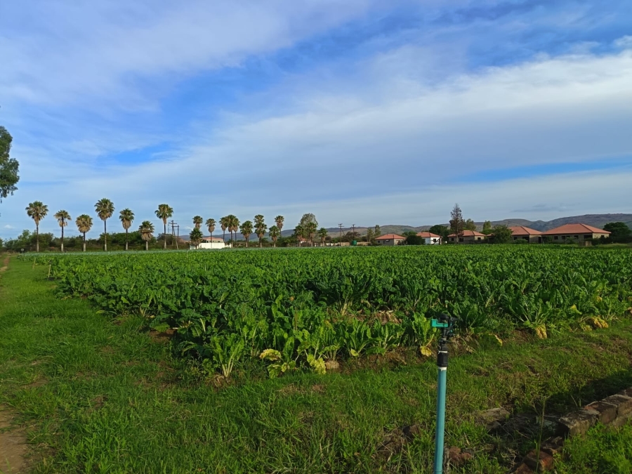 4 Bedroom Property for Sale in Mooinooi North West